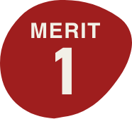 MERIT 1