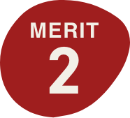 MERIT 2