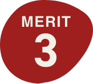 MERIT 3